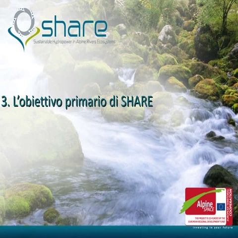 3-Le fasi del processo decisionale