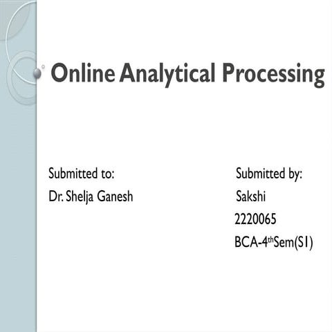 Online Analytical Processing.seminar(1).pptx
