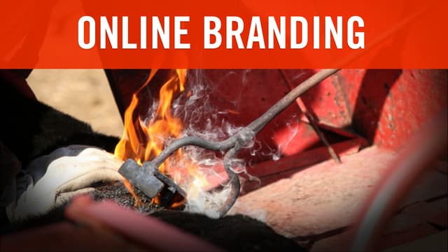 Online Branding