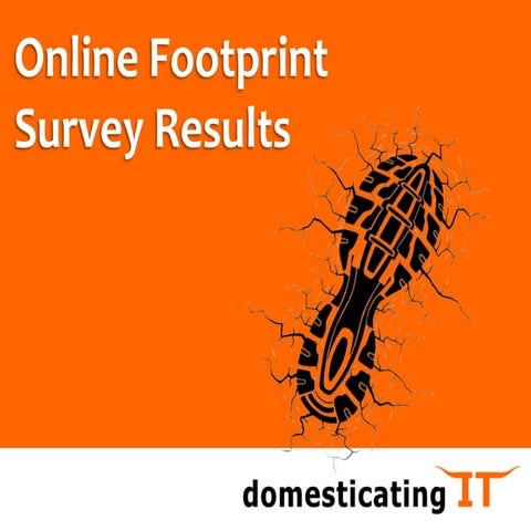 Online Footprint Survey Results