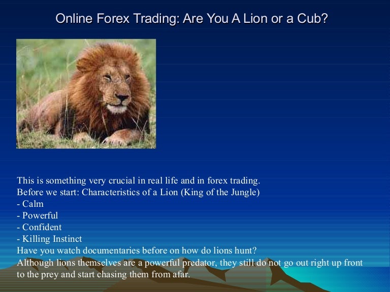 Online Forex Trading Are You A Lion Or A Cub - 