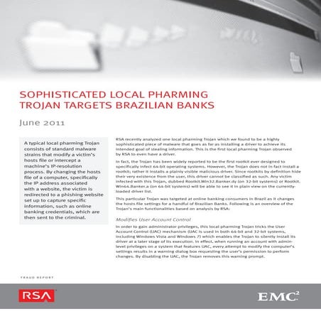 Online fraud report_0611[1]