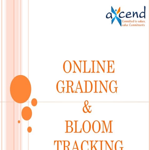 Online Grading Application- Steel