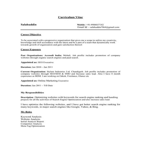Online Marketing And BDM Resume