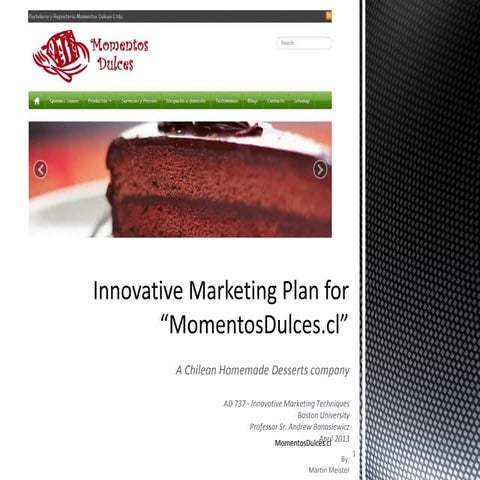 Online marketing plan ppt martin meister