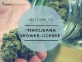Make A Smart Choice and Choose An Online Medical Card For Your Marijuana Growers License