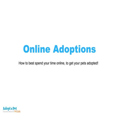 Pet Adoption Guide Pdf