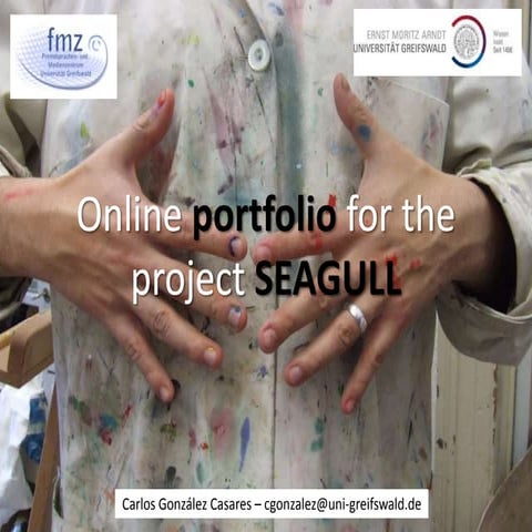 Online portfolio for the project SEAGULL 