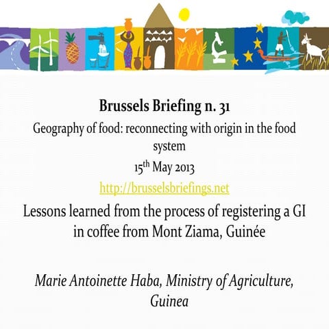 Registering  a GI in coffee from Mont Ziama, Guinée