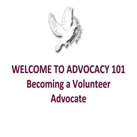  Advocacy 101