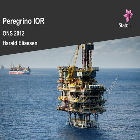 Ons 2012   peregrino ior (rev2)