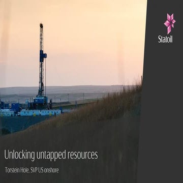 Ons 2012 us onshore torstein hole