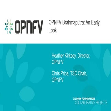OPNFV Brahmaputra: An Early Look 