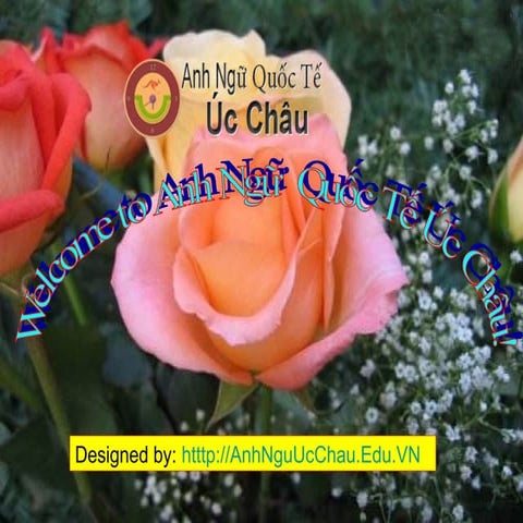 Ôn Thi Chứng Chỉ Quốc Gia Bằng B Tiếng Anh 