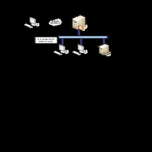 On thi tot nghiep 2011 cva