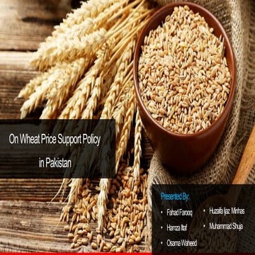On Wheat Price Support Policy.pptx