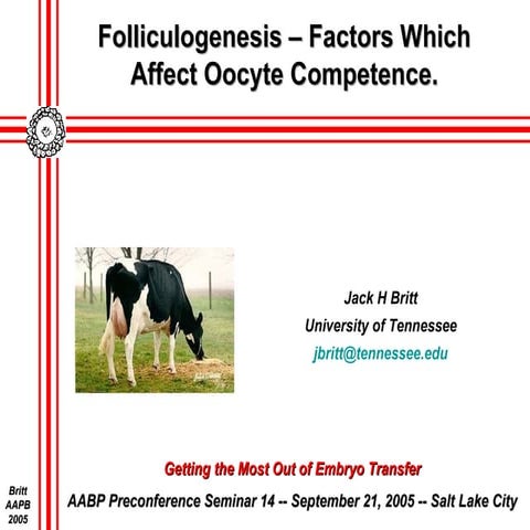 Principles of Development for Bovine Oocytes and Follicles 