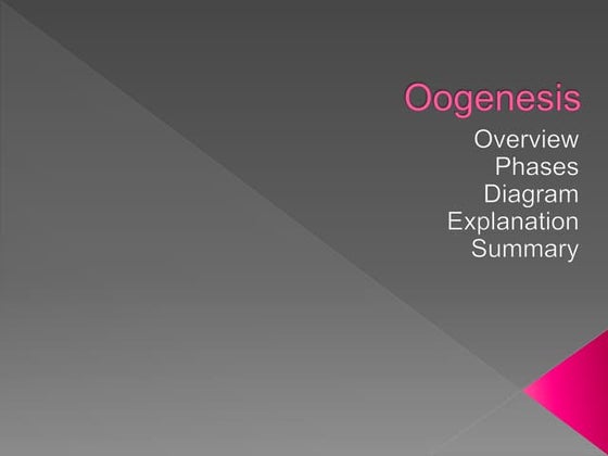 Oogenesis short introduction | PDF | Infertility | Reproductive Health