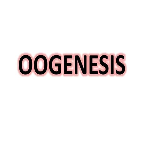 Oogenesis