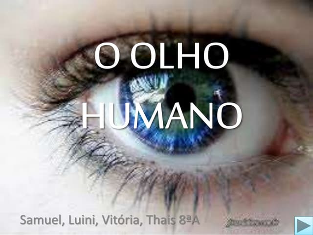 O olho humano, 9º ano
