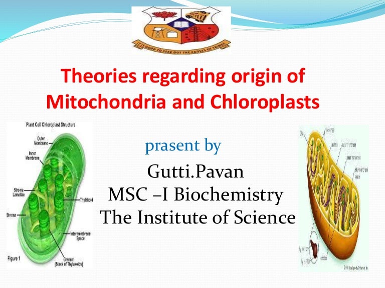 Theories regarding origin of Mitochondria and Chloroplasts