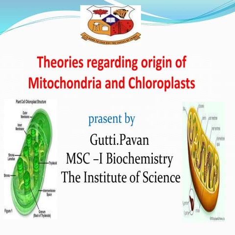 Theories regarding origin of Mitochondria and Chloroplasts