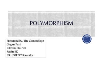 Polymorphism in C++