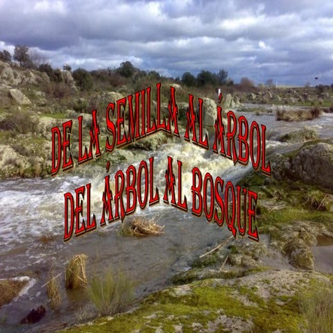 Oñotolesomarbelecsin