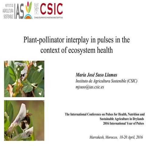 Plant-pollinator interplay in pulses in the context of ecosystem health