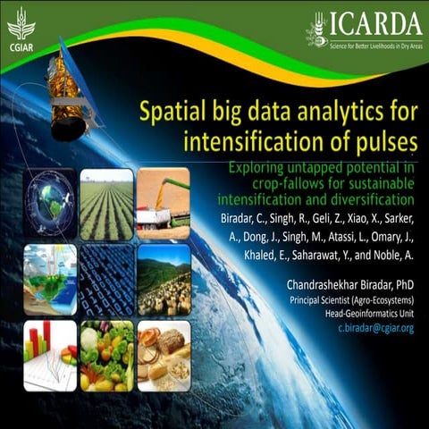 Spatial Big Data Analytics for Intensification of Pulses: Exploring untapped ...