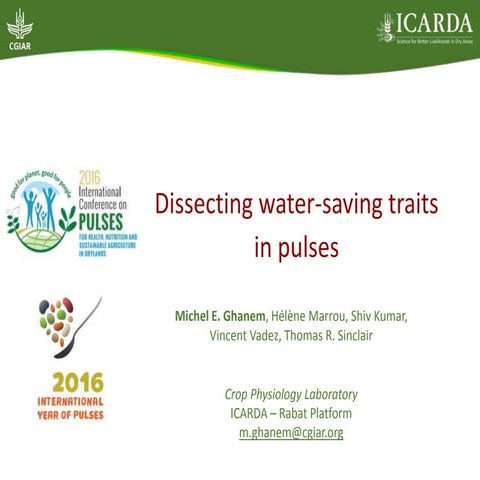 Dissecting water-saving traits  in pulses 