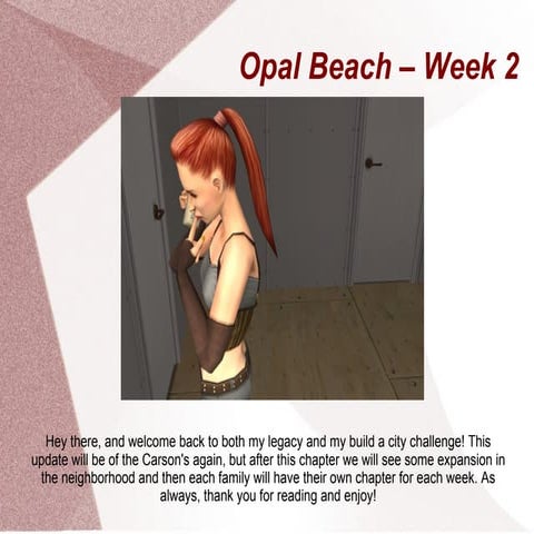 Opal beach   2