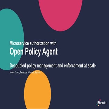 Opa microservice authorization