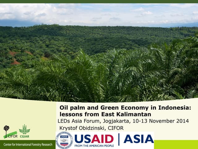 Oil palm and Green Economy in Indonesia: lessons from East Kalimantan