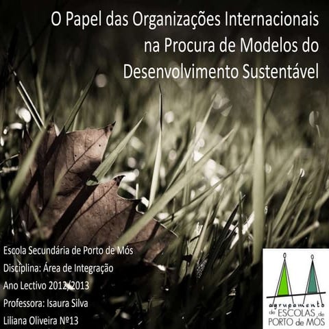 O papel das organizações internacionais na procura de