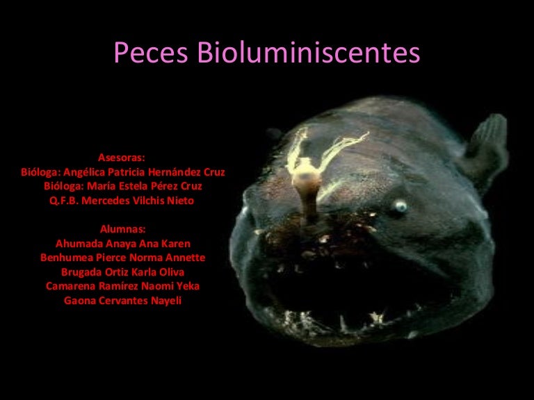 Peces Bioluminiscentes