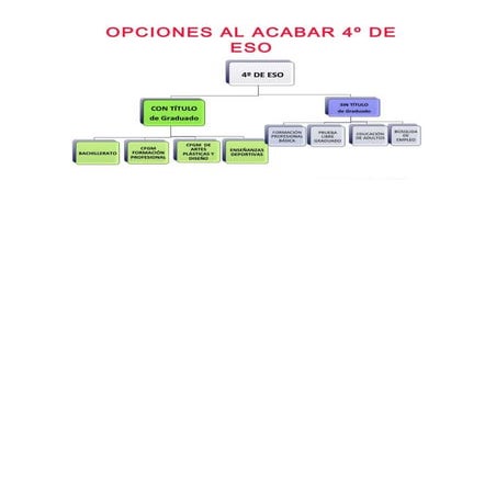 Opciones al terminar 4º eso