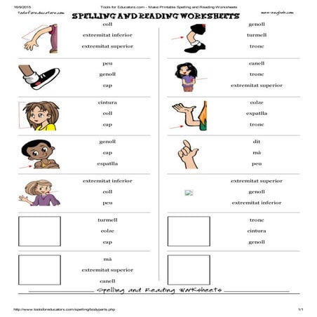 Opcions correctes parts del cos