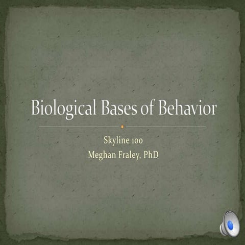 Ch 3  the brain & nervous system