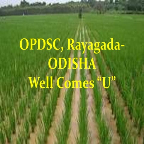 Opdsc odisha