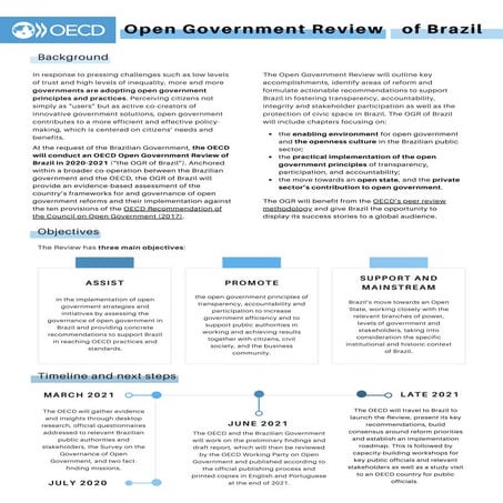 Open Government Review of Brazil Flyer