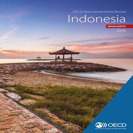 Open government review of Indonesia | PDF