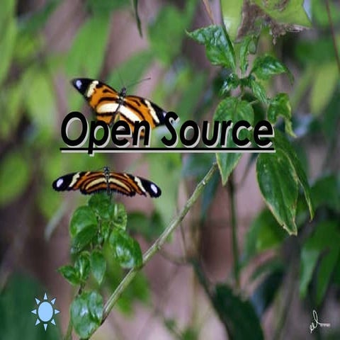 Open S