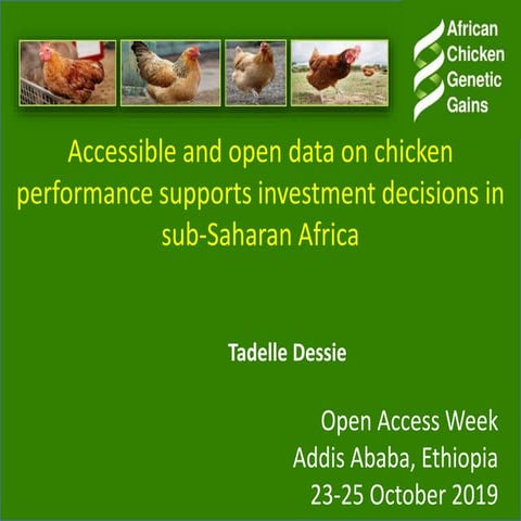 Accessible and open data on chicken performance supports investment decisions...