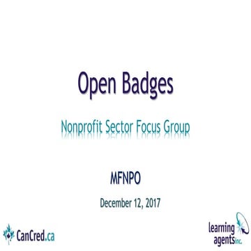 Open Badges - Manitoba Non-Profit Focus Group