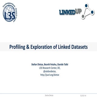 Demo: Profiling & Exploration of Li...