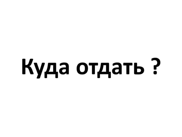 куда отдать Open data hackathon