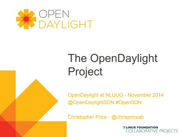 OpenDaylight nluug_november
