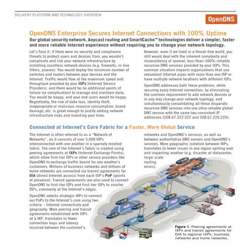 OpenDNS Whitepaper: Platform Technology