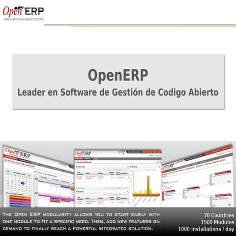 OpenERP model Spanish